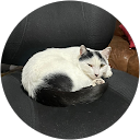 Libby B. profile picture